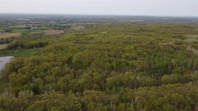 0 County Highway F, Weyerhaeuser, WI 54895
