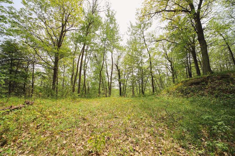 TBD N Mitchell Lake Rd, Fifty Lakes, MN 56448