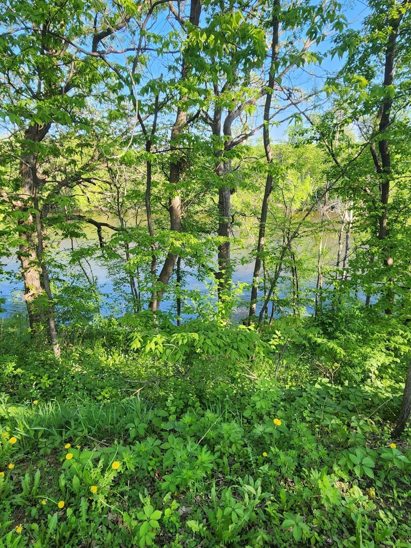 xxxxx Riverview Rd NE, Hanover, MN 55341