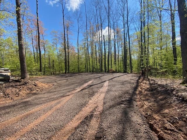29246 Honker Hollow Rd, Danbury, WI 54830