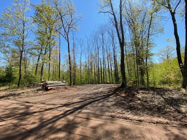 29246 Honker Hollow Rd, Danbury, WI 54830