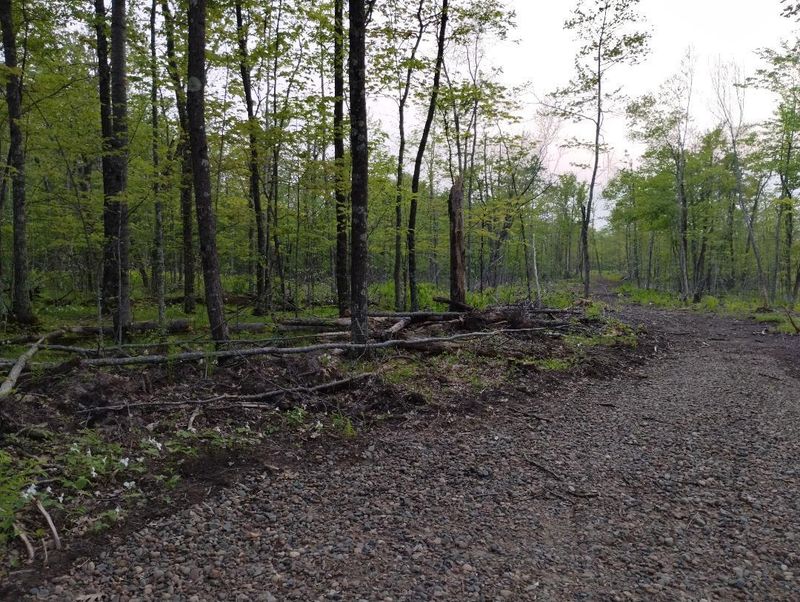 Lot A Ironwood Ave, Mora, MN 55051