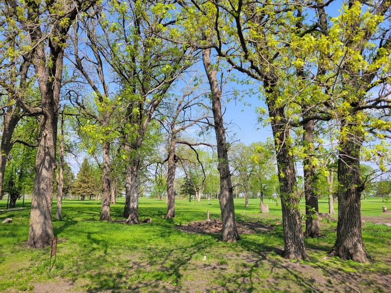 Parcel B County Road 38, Buffalo Lake, MN 55314