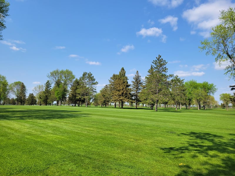 Parcel B County Road 38, Buffalo Lake, MN 55314