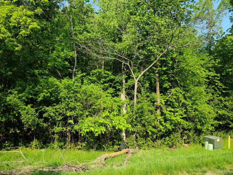 L7 B1 83rd St NE, Spicer, MN 56288
