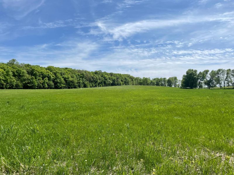 XXXX Edgewater Ln, Long Prairie, MN 56347