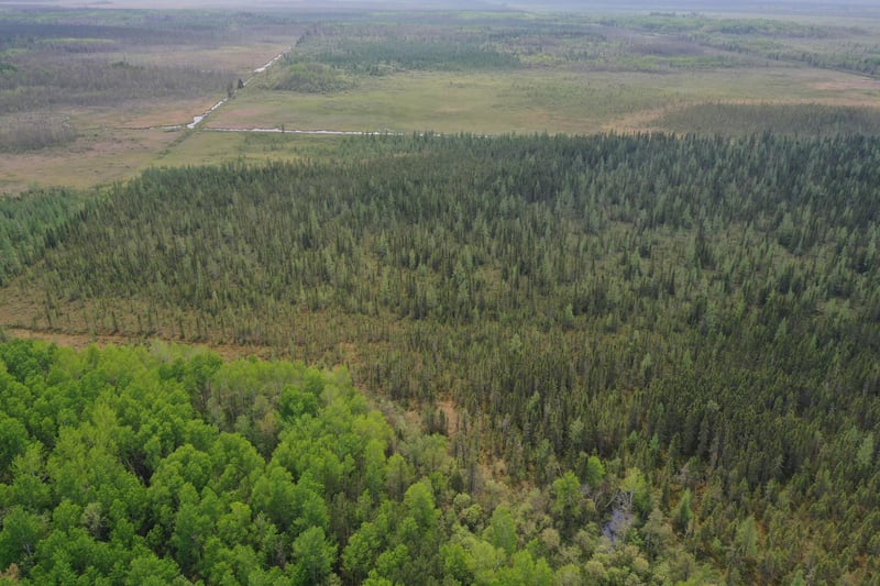 TBD Town Rd 55, Big Falls, MN 56627