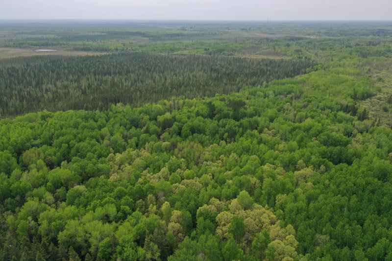 TBD Town Rd 55, Big Falls, MN 56627