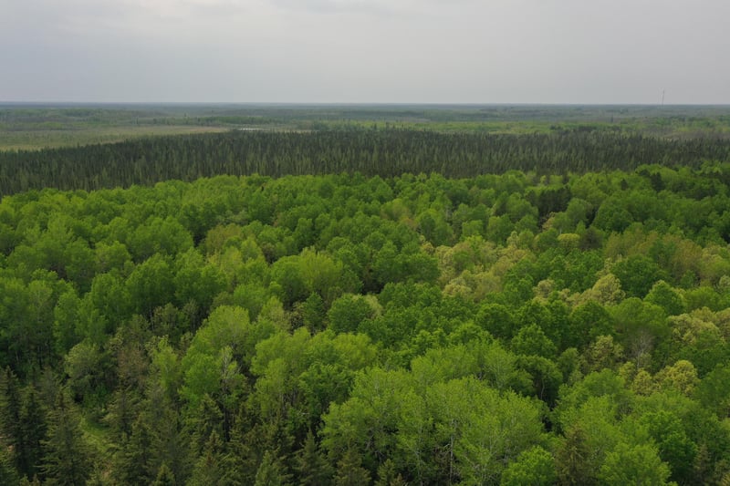 TBD Town Rd 55, Big Falls, MN 56627