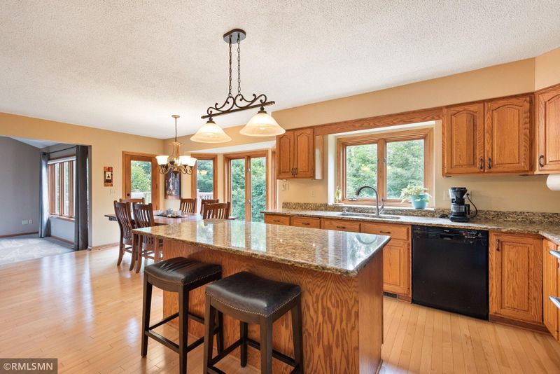 1299 Velvetleaf Ln, Lino Lakes, MN 55038