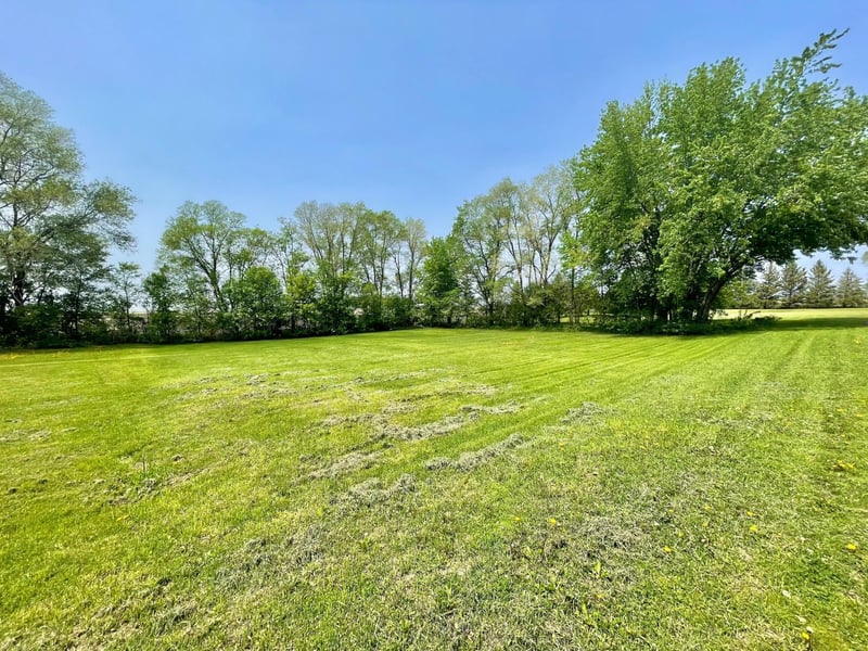 Xxx Bagen, Springfield, MN 56087