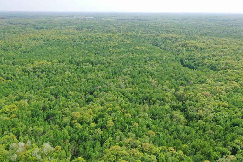 31449 Cherry Lake Rd, Ogema, MN 56569