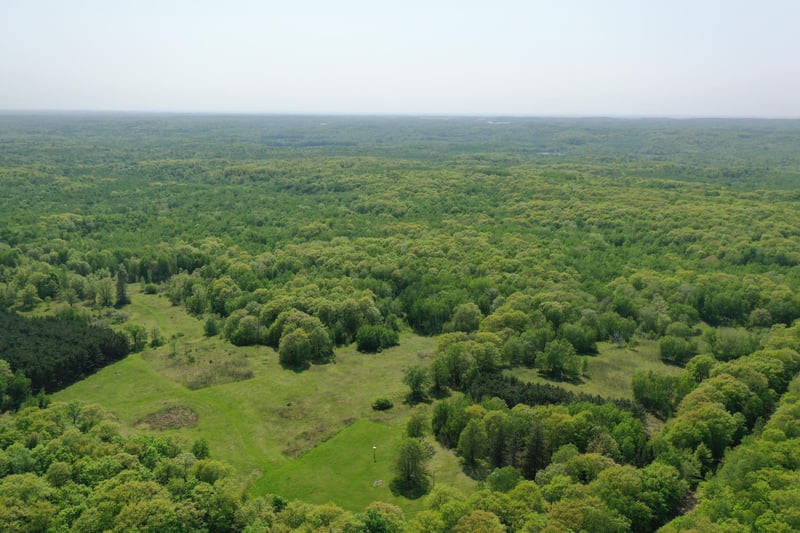 31449 Cherry Lake Rd, Ogema, MN 56569
