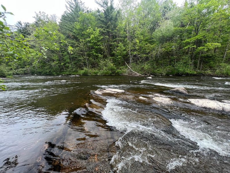 2982 State Highway 40, Radisson, WI 54867