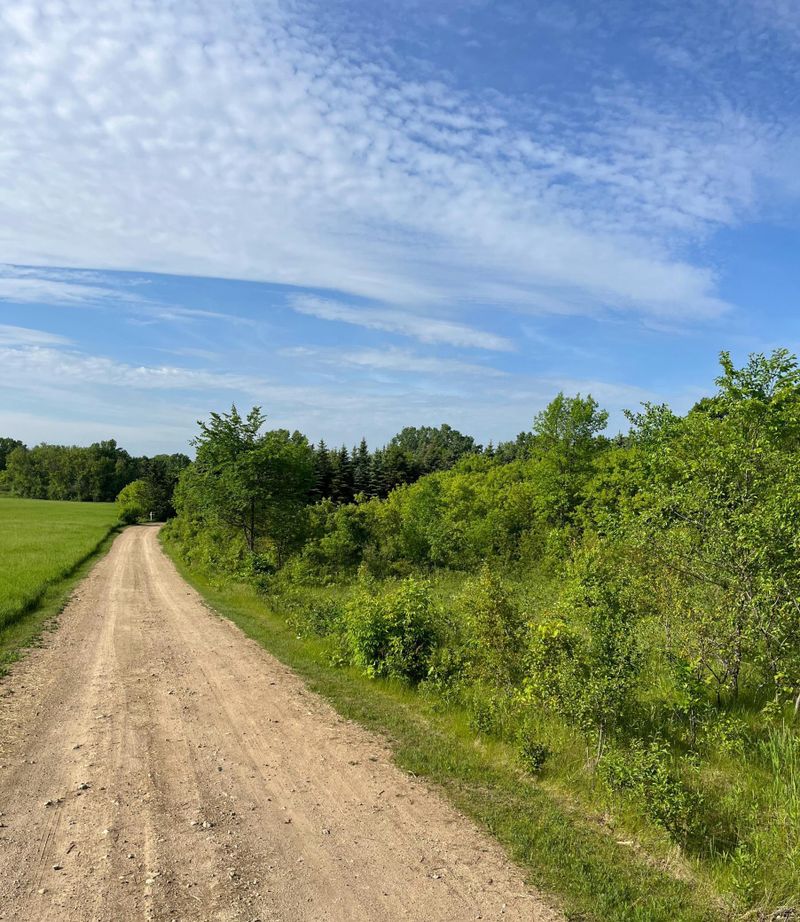 xxxx Valhalla Dr, Woodbury, MN 55129