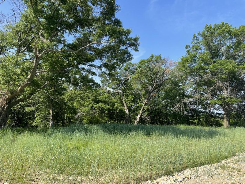 TBD 130th St NW, Oronoco, MN 55960