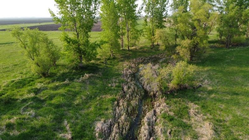 405 Hwy 119 SW, Appleton, MN 56208
