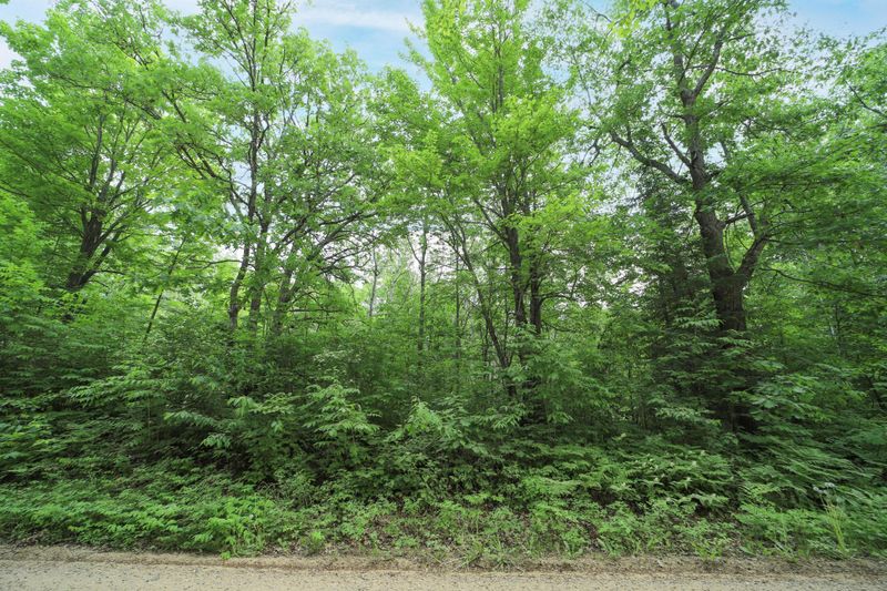 XXX 24th Ave NE, Remer, MN 56672