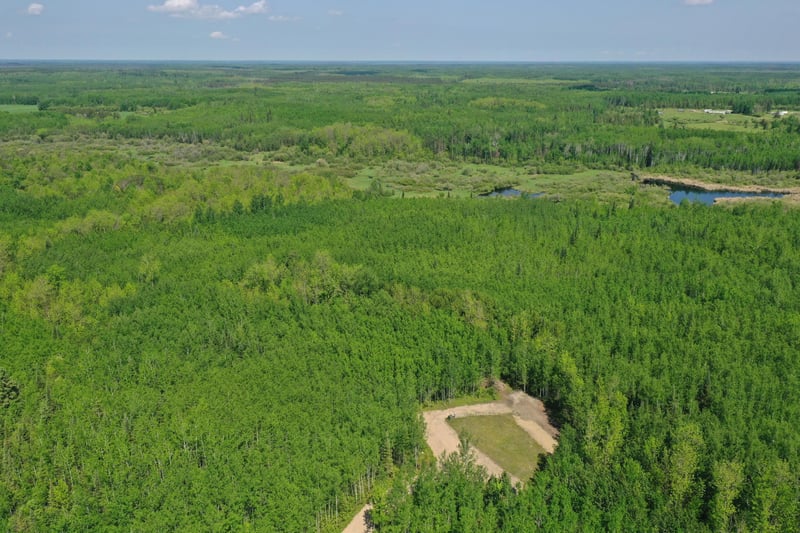 2425 Highway 217, Ray, MN 56669
