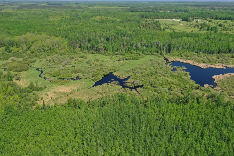 2425 Highway 217, Ray, MN 56669