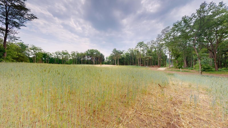 Lot 4 Bywater Ln, Trempealeau, WI 54661