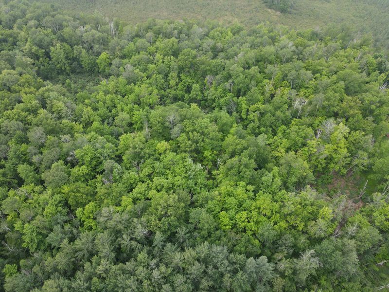 TBD-5ac Velvet St, Sandstone, MN 55072