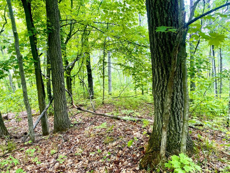 TBD-5ac Velvet St, Sandstone, MN 55072