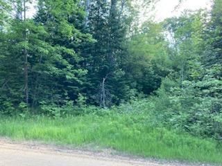 TBD Sautbine Rd, Walker, MN 56484