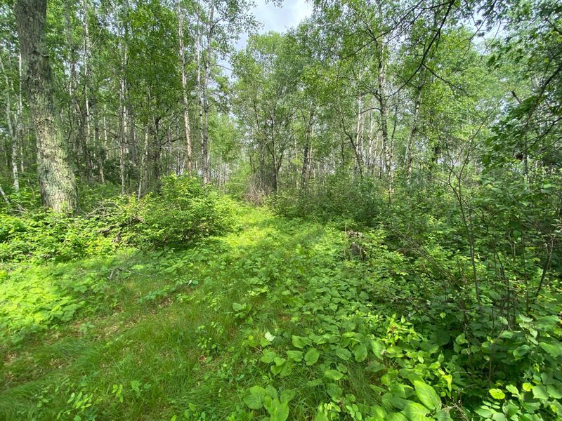 3317 4th St SW, Backus, MN 56435