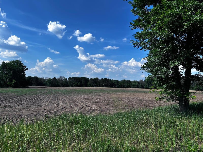 2506 Swedish Dr NE, Ham Lake, MN 55304
