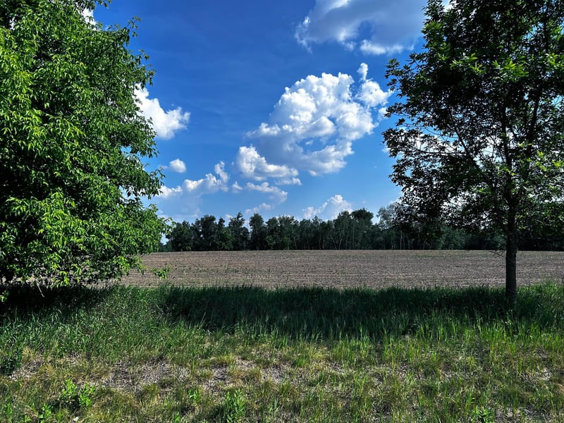 2506 Swedish Dr NE, Ham Lake, MN 55304