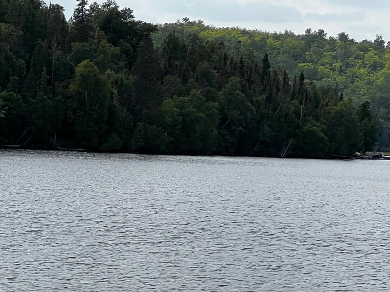 LOT 8 Ninemile Ridge Rd, Finland, MN 55603