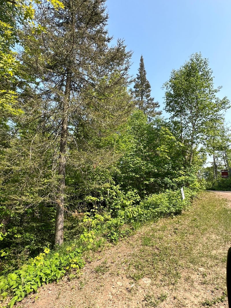 LOT 8 Ninemile Ridge Rd, Finland, MN 55603