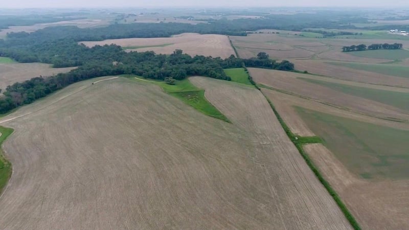 xxxx N County Road 8, Plainview, MN 55964