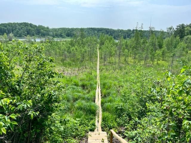 TBD Dreamcatcher Dr, Park Rapids, MN 56470