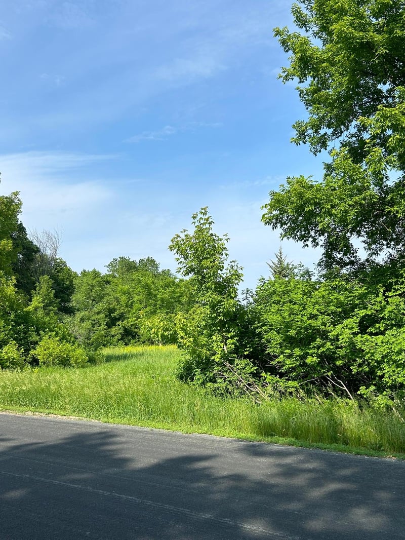 xxxx Jalger Ave NE, Otsego, MN 55330