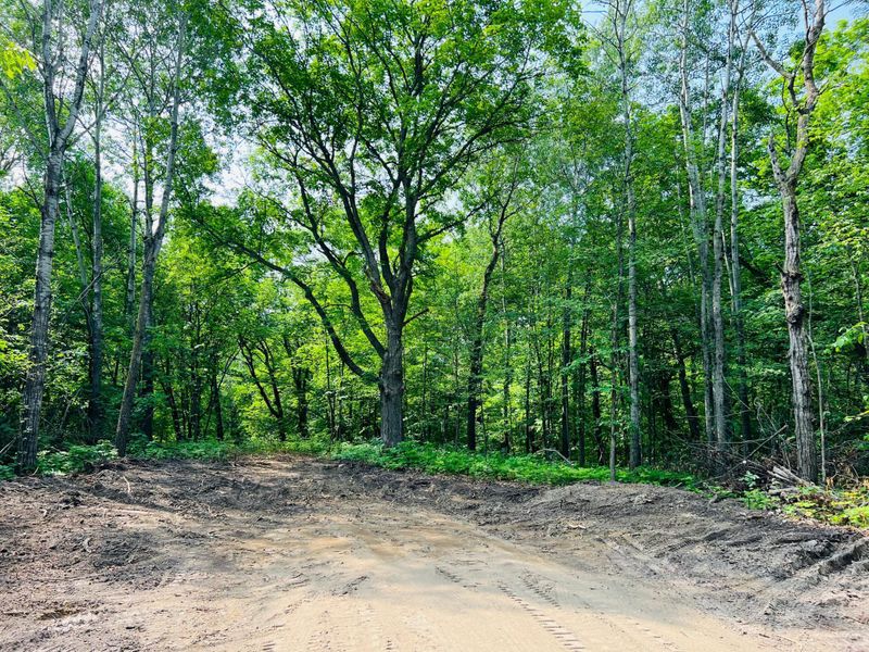 TBD 250th Ave, Erhard, MN 56534