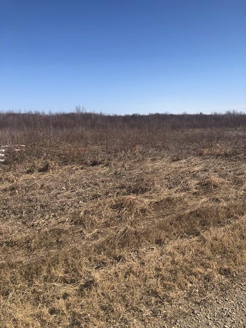 CO.RD 131 430th Ave, Wannaska, MN 56761