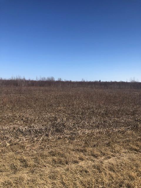 CO.RD 131 430th Ave, Wannaska, MN 56761