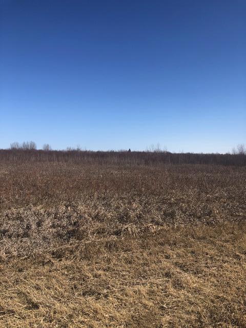 CO.RD 131 430th Ave, Wannaska, MN 56761