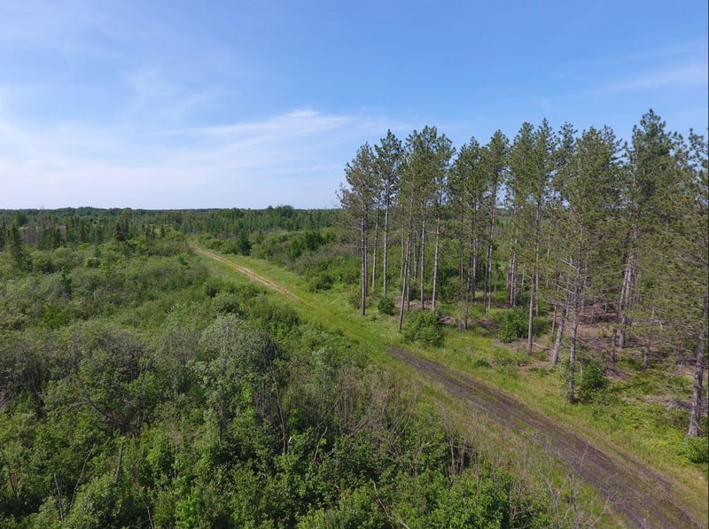 XXXX State Highway 71, Big Falls, MN 56627