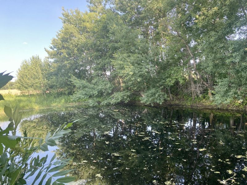 XXXX County Road 1, Princeton, MN 55371