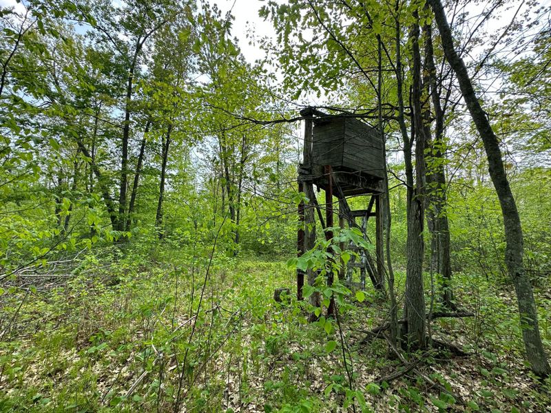 xxx Markville Rd, Sandstone, MN 55072