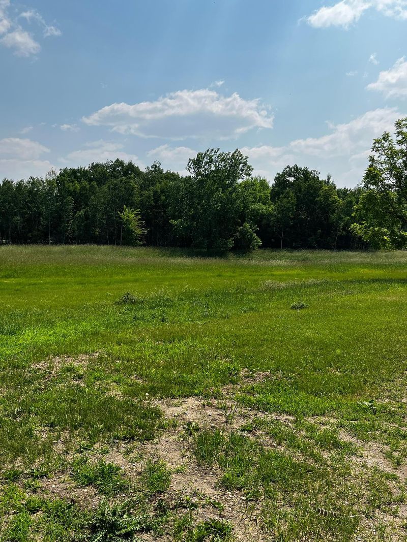 26650 70th St NE, Belgrade, MN 56312