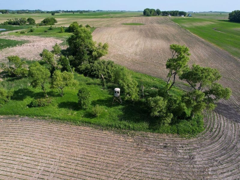 TBD 370th Ave, Cyrus, MN 56323
