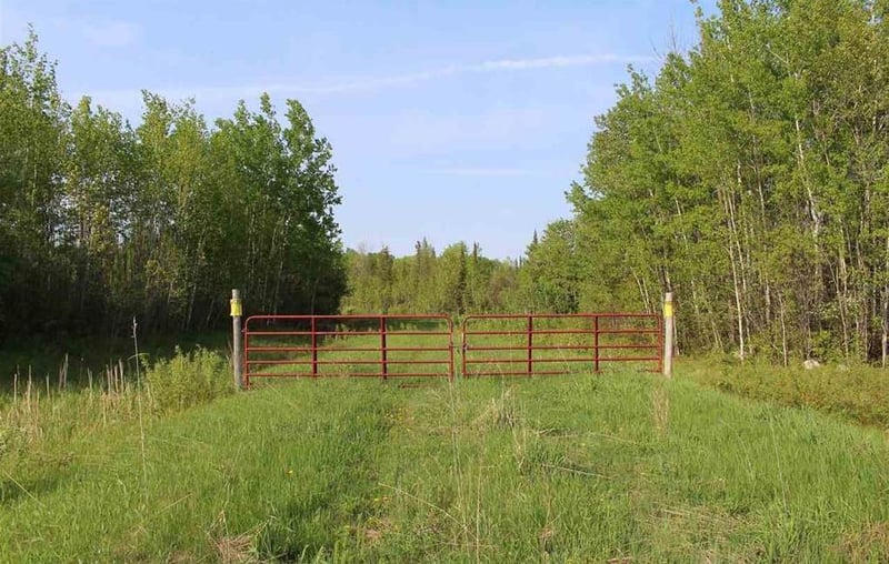 4650 Highway 53, Ray, MN 56669