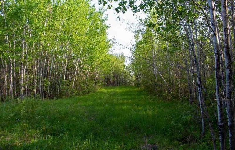 4650 Highway 53, Ray, MN 56669