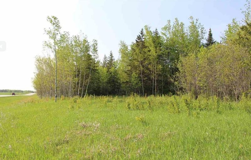 4650 Highway 53, Ray, MN 56669