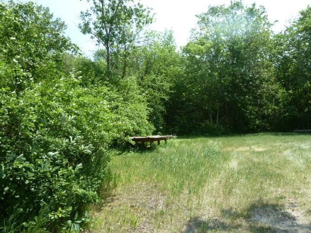 XXX Division St, Elbow Lake, MN 56531