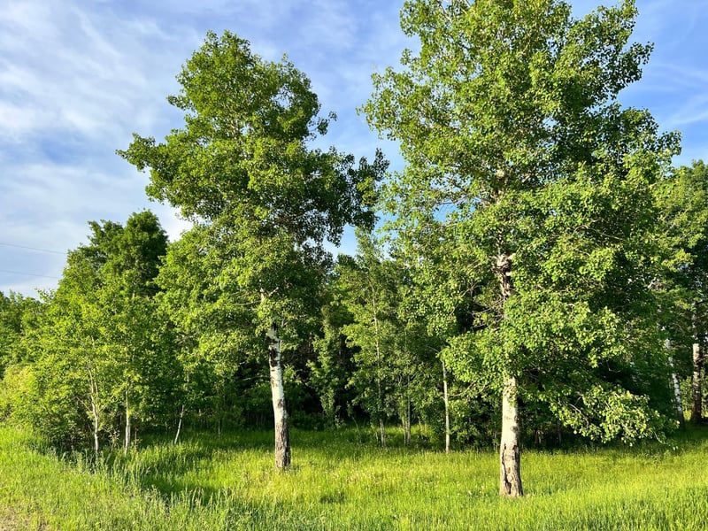 XXXXX 480th Ave, Wannaska, MN 56761